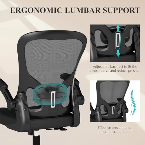 Flysky Mesh Office Chair, Ergonomic Computer Desk Chairs for Home Office - with Comfy/Comfortable Flip-up Arm Rests, Lumbar Support, Height Adjustable, 360 Degree Rolling Swivel (Black)