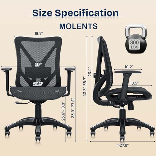 MOLENTS Ergonomic Office Chair, Mesh Computer Desk Chairs with Adjustable Lumbar Support, 3D Armrests, Tilt Function, Comfy Wide Seat, Swivel Executive Work Task Chair for Company and Home