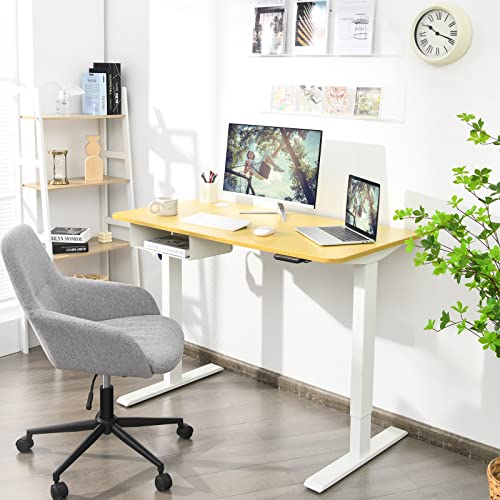 Tangkula Electric Height Adjustable Standing Desk w/USB Port, 48-Inch Sit to Stand Computer Workstation, Ergonomic Stand up Desk w/Cable Holes, Hook, Storage Compartment, Memory Controller