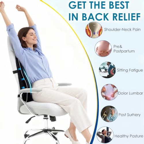 Niceeday Lumbar Support Pillow for Office Chair Car Back Support Pillow, Memory Foam Gaming Chair Desk Chair Back Cushion for Lower Back Pain Relief, Ergonomic Back Rest,Office Home Essentials