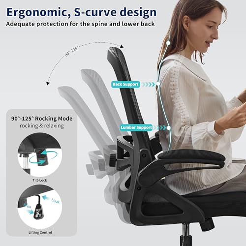 Nexthro Ergonomic Office Chair, Desk Chair with Adjustable Lumbar Support, Breathable Mesh Comfy Computer Chairs with Flip-up Armrests Executive Task Chair for Adults Home Office(Black)
