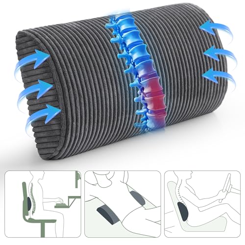 HIGOGOGO Lumbar Support Pillow for Recliner Chair/Accent Chair/Couch, Memory Foam Back Support Cushion for Elderly, Recliner Cushions for Back Rest, Pain Relief, Reading, Washable Cover, Dark Grey