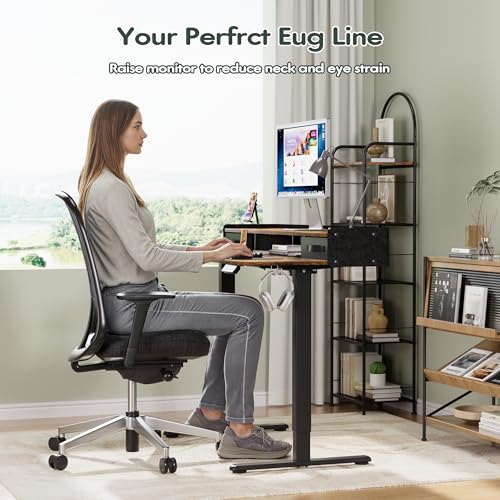 Homall Electric Standing Desk with 2 Drawers, Adjustable Height Computer Desk with Monitor Shelf Sit Stand Table with Splice Board Quick Install for Home Office (Rustic Brown, 48 Inch)