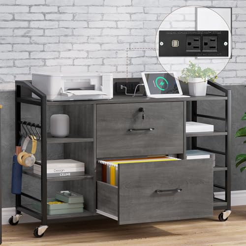 SEDETA 44" File Cabinet, Filing Cabinet fits Legal/Letter Size, 2 Drawer File Cabinets for Home Office with Lock, Power Strip, 6 Storage Shelves, Grey