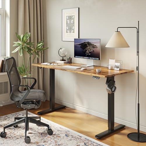 Agilestic Electric Standing Desk, 48 x 24 Inches Height Adjustable Desk, Sit Stand up for Work Office Home, Ergonomic Rising Computer Table with Memory Preset, Rustic Brown