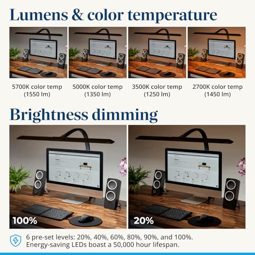 UPLIFT DESK Sliding Flex Clamp Lamp – LED Office Desk Lamp with Clamp with 6 Brightness Levels and 4 Color Temperatures, Great Work from Home and Office Accessories (Black)