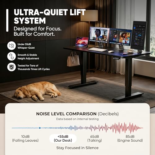 Furmax 55 x 24 Inches Electric Height Adjustable Standing Desk Large Sit Stand Up Desk Home Office Computer Desk Memory Preset with T-Shaped Metal Bracket, Black