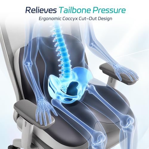 Synthcore Back and Seat Cushion for Office, Back & Tailbone Pain Relief, Raised Cushion for Lumbar and Butt, Double-Sided Anti-Slip, Improves Sitting Posture, Ergonomic Memory Foam Lumbar Cushion