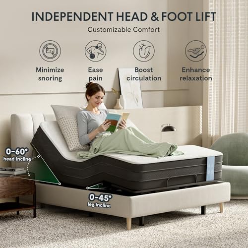 FLEXISPOT Adjustable Bed Frame Base Queen, Head and Foot Incline, Zero Gravity, One-Touch Flat, 2 Memory Settings, Wireless Remote, Flashlight, Whisper Quiet Durable Motor, Mattress Holder, S2E-PRO