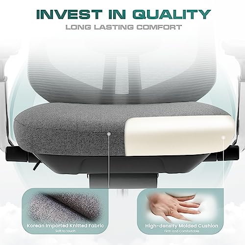 COLAMY Ergonomic Mesh Office Chair, High Back Office Chair, Computer Executive Desk Chair with Lumbar Support,Adjustable Headrest and 4D Arms, Slide Seat, Tilt Lock-Darkgrey New