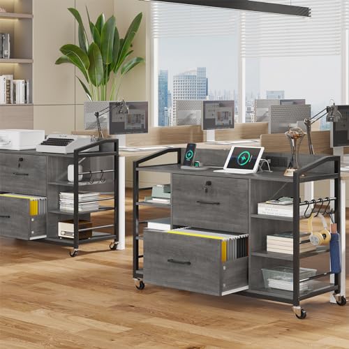 SEDETA 44" File Cabinet, Filing Cabinet fits Legal/Letter Size, 2 Drawer File Cabinets for Home Office with Lock, Power Strip, 6 Storage Shelves, Grey