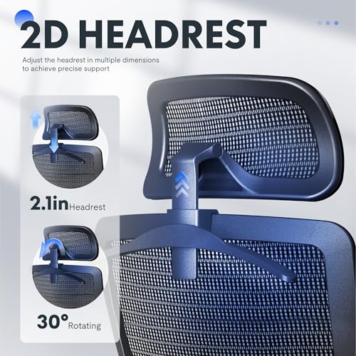 FLEXISPOT Ergonomic Office Chair, High Back Mesh Swivel Computer Chair, Executive Office Desk Chairs, with Adjustable Lumbar Support/2D Headrest/Lockable Backrest, OC3 Mesh Seat, Gray