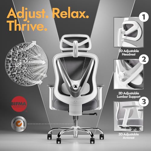 HOLLUDLE Ergonomic Mesh Office Chair - 3D Adjustable Lumbar Support & 3D Armrests, V-Shaped Back, Adjustable Desk Chair for Office & Home, White