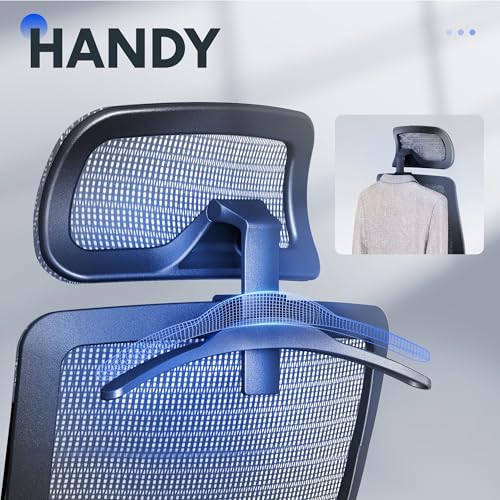FLEXISPOT Ergonomic Office Chair, High Back Mesh Swivel Computer Chair, Executive Office Desk Chairs, with Adjustable Lumbar Support/2D Headrest/Lockable Backrest, OC3 Mesh Seat, Gray