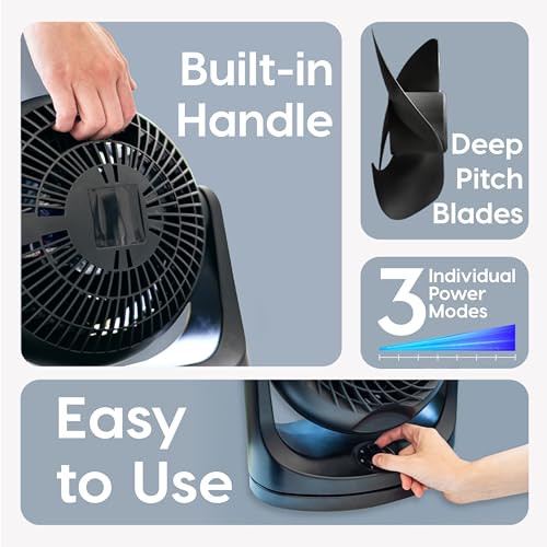 IRIS USA WOOZOO Desk Fan, Oscillating Air Circulator, 3 Speeds, 36ft Max Air Distance, 244ft² Coverage, 112° Adjustable Vertical Tilt, 29db Quiet Motor, Small Fan for Bedroom, Office, Dorm, Black