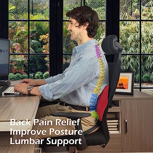 POPIPEN Inflatable Lumbar Support Pillow for Office Chair and Car Seat, Back Support Cushion with Air Pump for Reducing Lower Back Pain