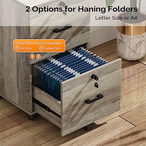 VINGLI 2 Drawer File Cabinet with Lock, Wood Rustic Gray Filing Cabinet for Letter Size File Folders with Tabs, Under Desk Rolling File Cabinets for Home Office, Mobile File Organization Printer Stand